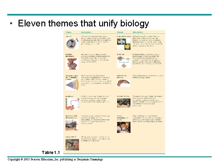  • Eleven themes that unify biology Table 1. 1 Copyright © 2005 Pearson