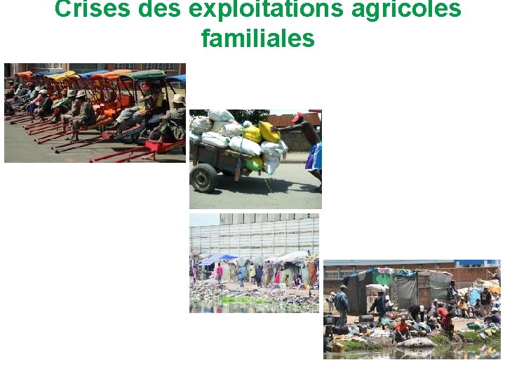 Crises des exploitations agricoles familiales 