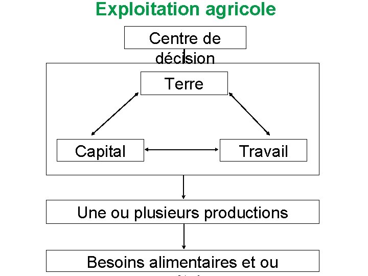 Exploitation agricole Centre de décision Terre Capital Travail Une ou plusieurs productions Besoins alimentaires