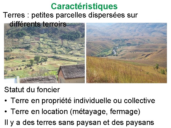 Caractéristiques Terres : petites parcelles dispersées sur différents terroirs Statut du foncier • Terre