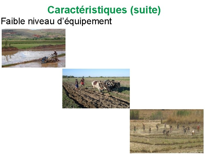 Caractéristiques (suite) Faible niveau d’équipement 