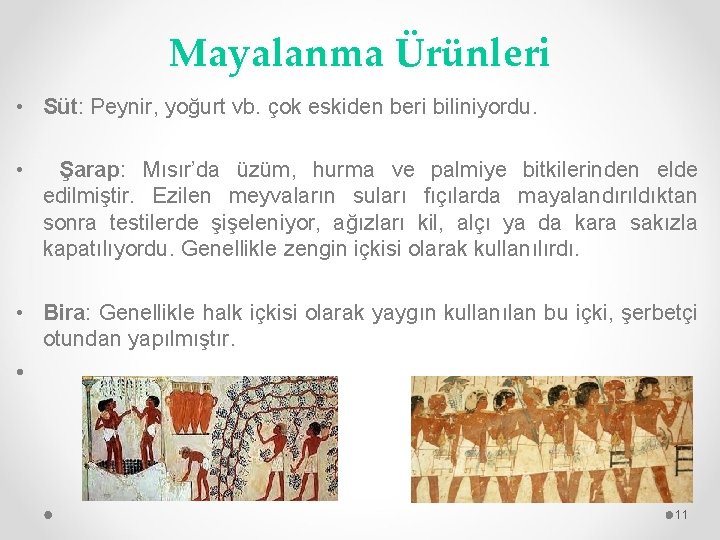 Mayalanma Ürünleri • Süt: Peynir, yoğurt vb. çok eskiden beri biliniyordu. • Şarap: Mısır’da