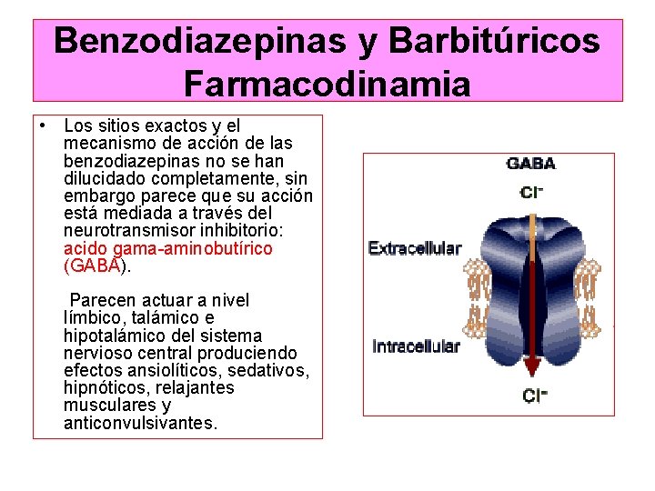 Benzodiazepinas y Barbitúricos Farmacodinamia • Los sitios exactos y el mecanismo de acción de