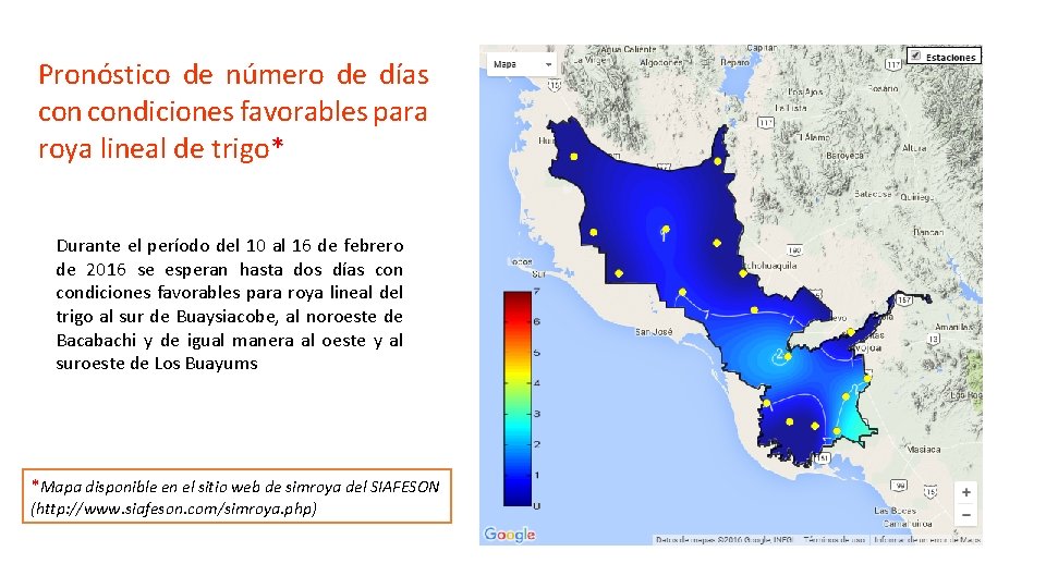 Pronóstico de número de días condiciones favorables para roya lineal de trigo* Durante el