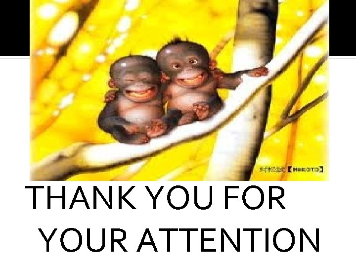 THANK YOU FOR YOUR ATTENTION 