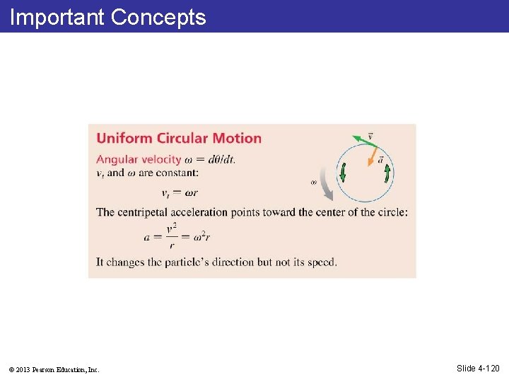 Important Concepts © 2013 Pearson Education, Inc. Slide 4 -120 