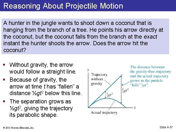 Reasoning About Projectile Motion A hunter in the jungle wants to shoot down a