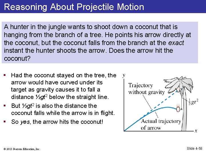 Reasoning About Projectile Motion A hunter in the jungle wants to shoot down a