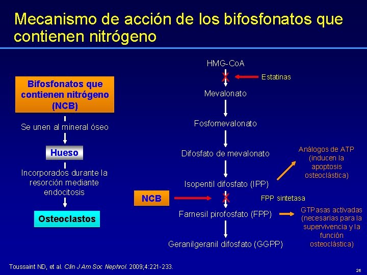 Mecanismo de acción de los bifosfonatos que contienen nitrógeno HMG-Co. A Χ Estatinas Bifosfonatos