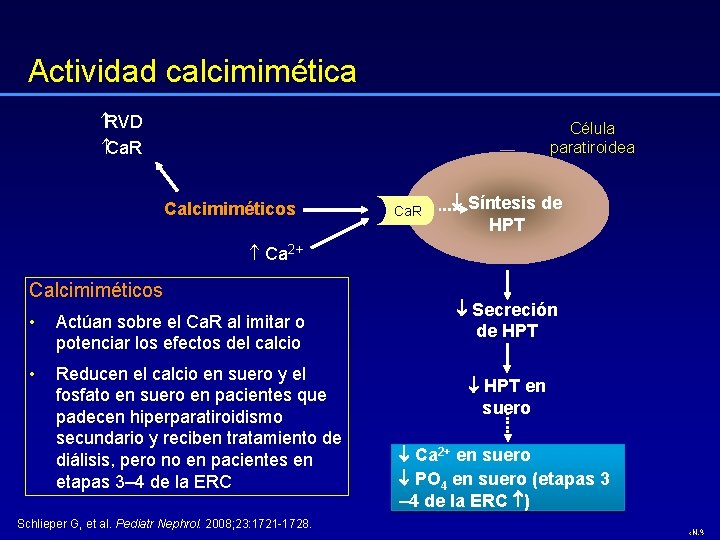 Actividad calcimimética RVD Ca. R Célula paratiroidea Calcimiméticos Ca. R Síntesis de HPT Ca