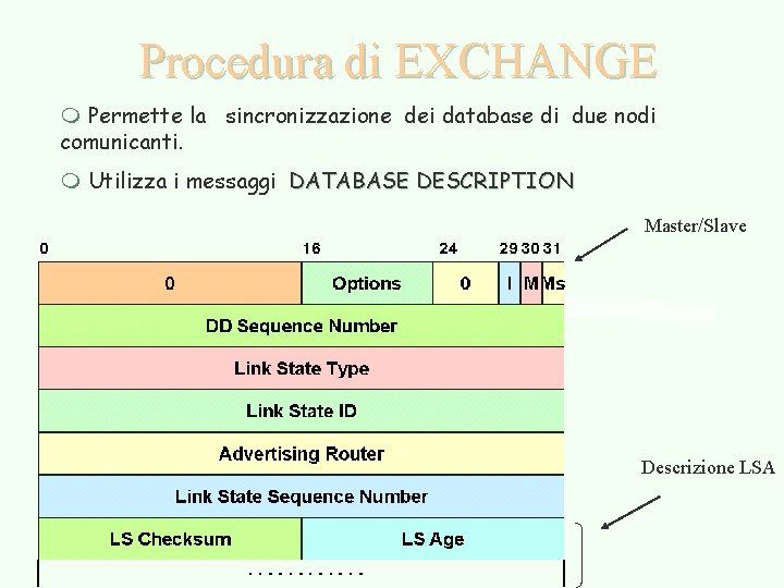 Procedura di EXCHANGE m Permette la sincronizzazione dei database di due nodi comunicanti. m