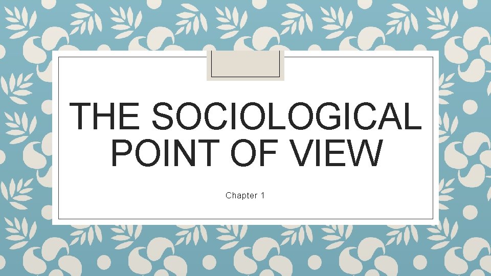 THE SOCIOLOGICAL POINT OF VIEW Chapter 1 