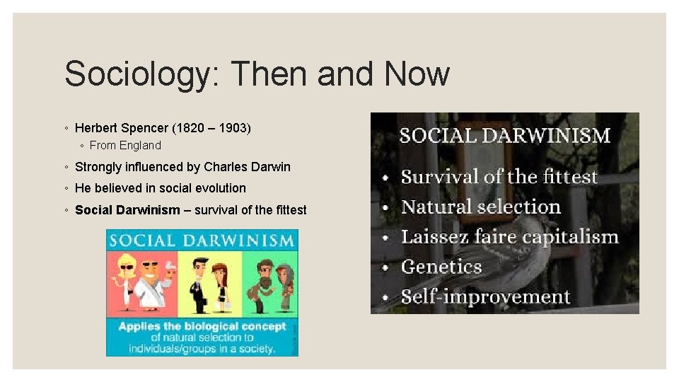 Sociology: Then and Now ◦ Herbert Spencer (1820 – 1903) ◦ From England ◦