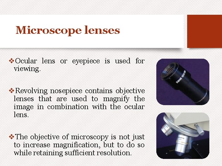 Microscope lenses v. Ocular lens or eyepiece is used for viewing. v. Revolving nosepiece