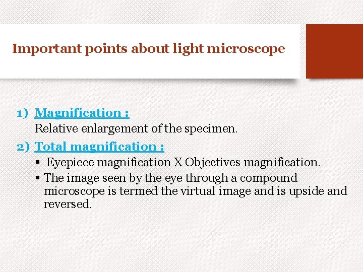 Important points about light microscope 1) Magnification : Relative enlargement of the specimen. 2)