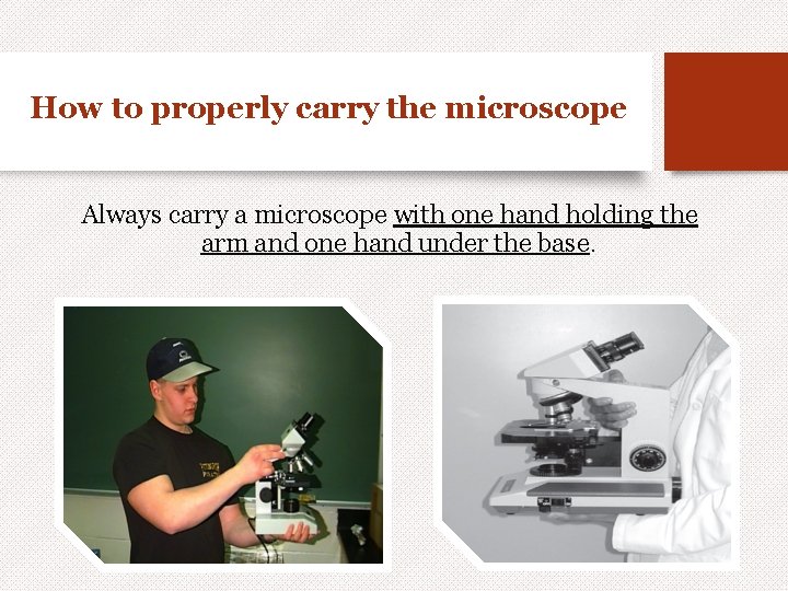 How to properly carry the microscope Always carry a microscope with one hand holding
