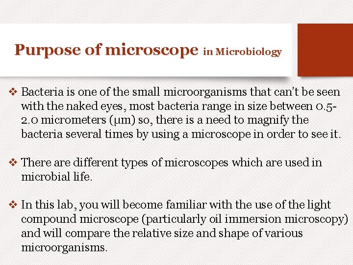 Purpose of microscope in Microbiology v Bacteria is one of the small microorganisms that