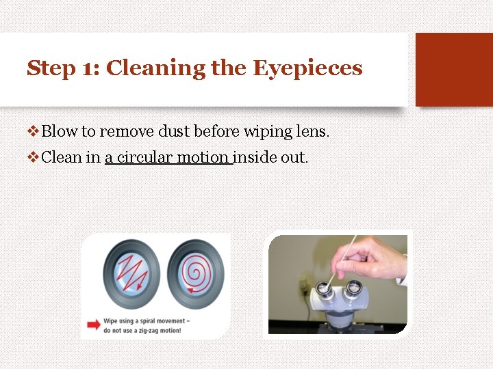 Step 1: Cleaning the Eyepieces v. Blow to remove dust before wiping lens. v.