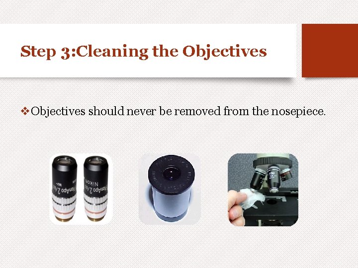 Step 3: Cleaning the Objectives v. Objectives should never be removed from the nosepiece.