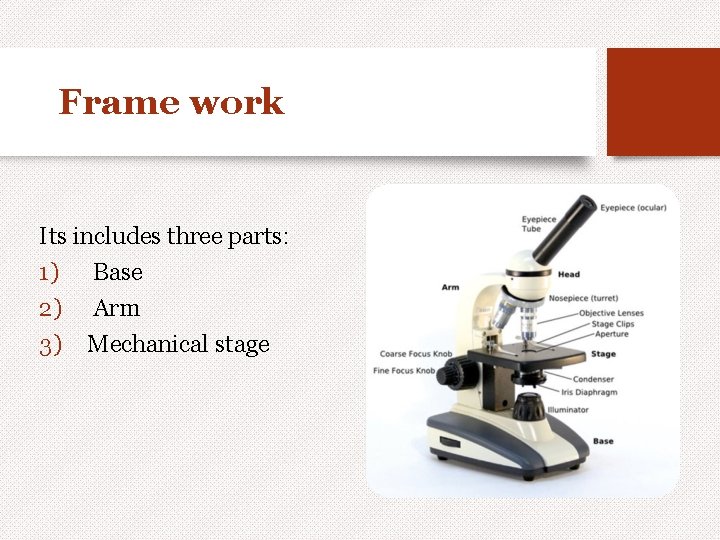 Frame work Its includes three parts: 1) Base 2) Arm 3) Mechanical stage 