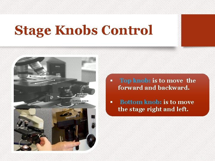 Stage Knobs Control § Top knob: is to move the forward and backward. §