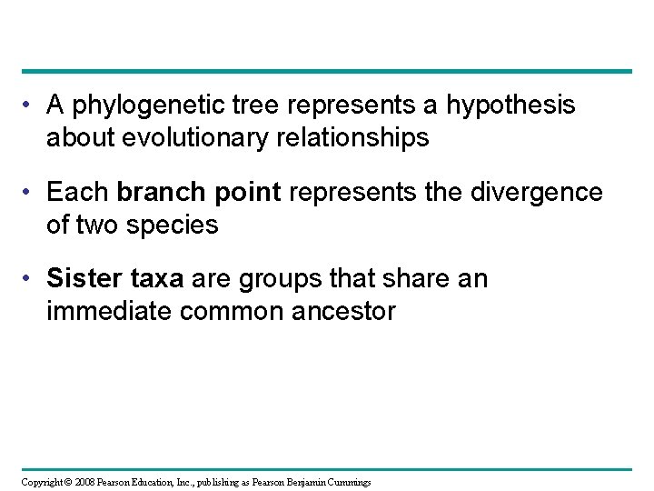  • A phylogenetic tree represents a hypothesis about evolutionary relationships • Each branch