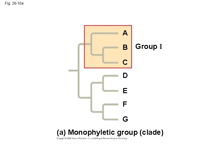 Fig. 26 -10 a A B Group I C D E F G (a)