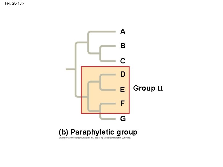 Fig. 26 -10 b A B C D E Group II F G (b)