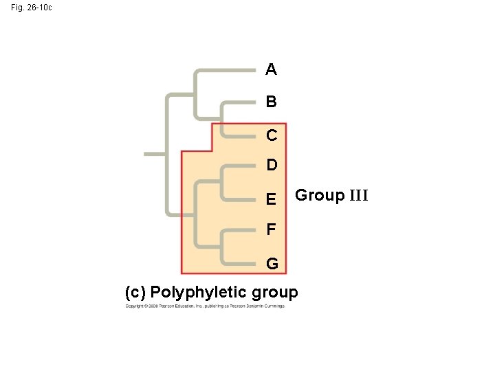Fig. 26 -10 c A B C D E Group III F G (c)