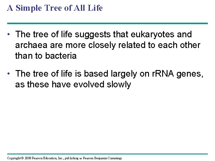 A Simple Tree of All Life • The tree of life suggests that eukaryotes