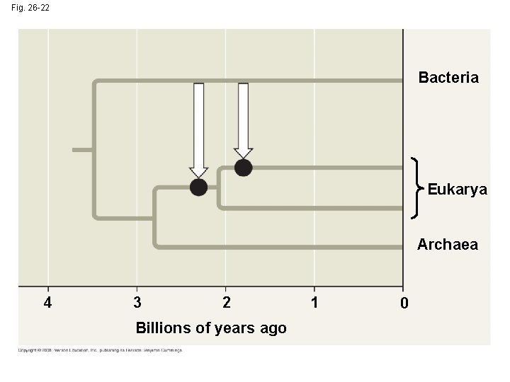 Fig. 26 -22 Bacteria Eukarya Archaea 4 3 2 Billions of years ago 1