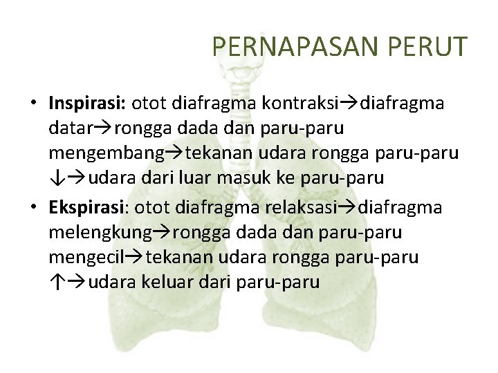 PERNAPASAN PERUT • Inspirasi: otot diafragma kontraksi diafragma datar rongga dada dan paru-paru mengembang