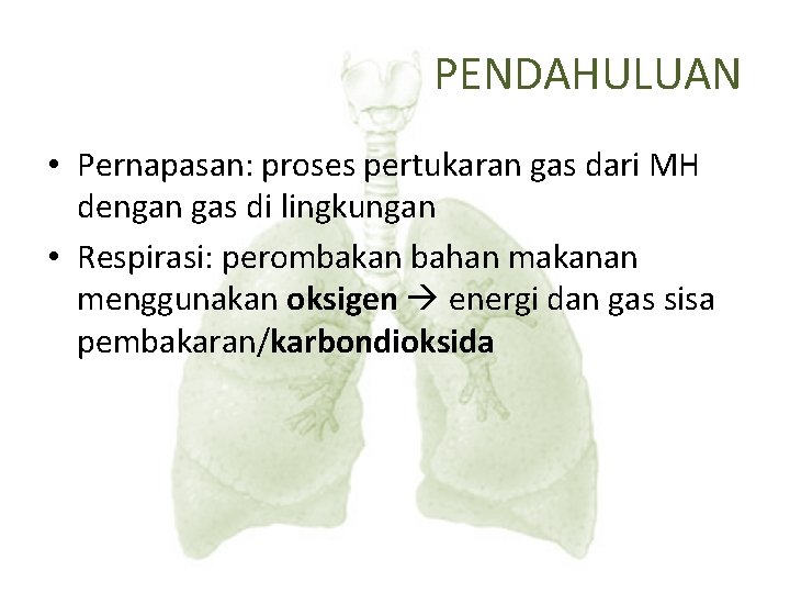 PENDAHULUAN • Pernapasan: proses pertukaran gas dari MH dengan gas di lingkungan • Respirasi: