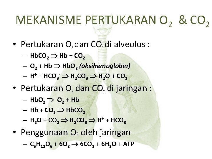 MEKANISME PERTUKARAN O 2 & CO 2 • Pertukaran O dan CO di alveolus
