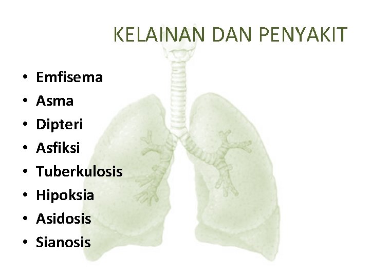 KELAINAN DAN PENYAKIT • • Emfisema Asma Dipteri Asfiksi Tuberkulosis Hipoksia Asidosis Sianosis 