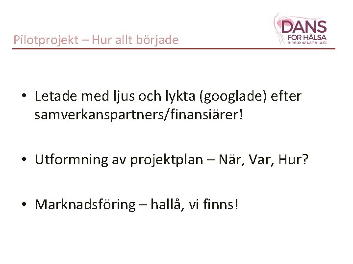 Pilotprojekt – Hur allt började • Letade med ljus och lykta (googlade) efter samverkanspartners/finansiärer!