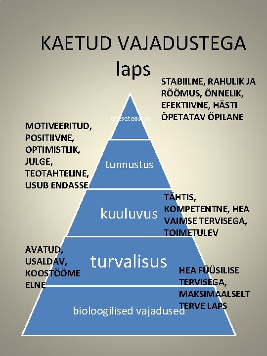 KAETUD VAJADUSTEGA laps STABIILNE, RAHULIK JA MOTIVEERITUD, POSITIIVNE, OPTIMISTLIK, JULGE, TEOTAHTELINE, USUB ENDASSE eneseteostus