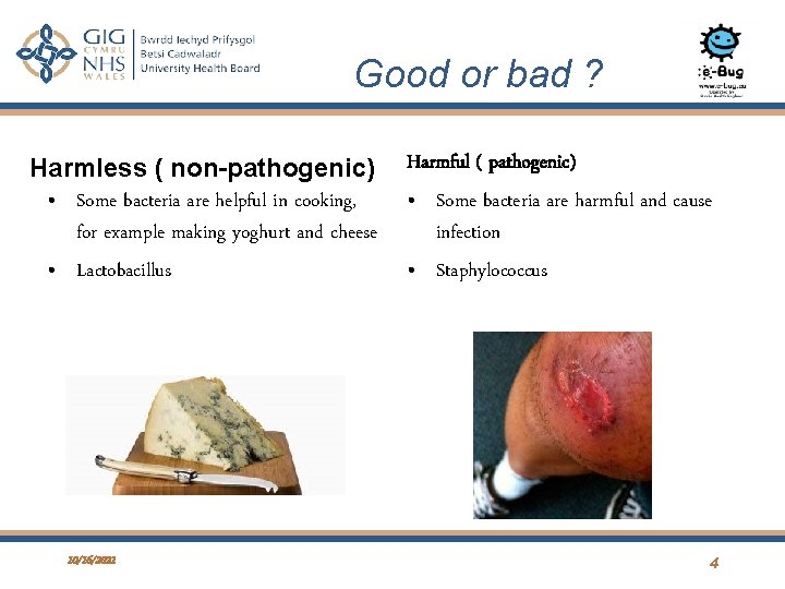 Introduction to microorgansims Kailey BenSassi Lead Antimicrobial ...
