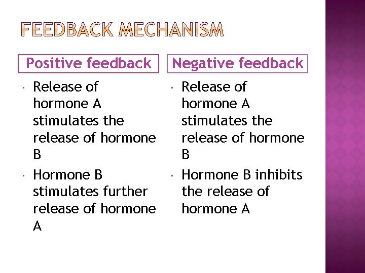 Positive feedback Release of hormone A stimulates the release of hormone B Hormone B
