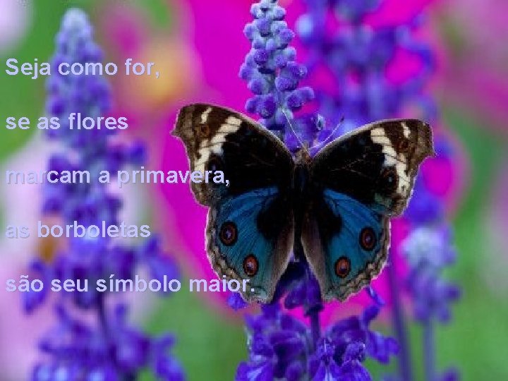 Seja como for, se as flores marcam a primavera, as borboletas são seu símbolo