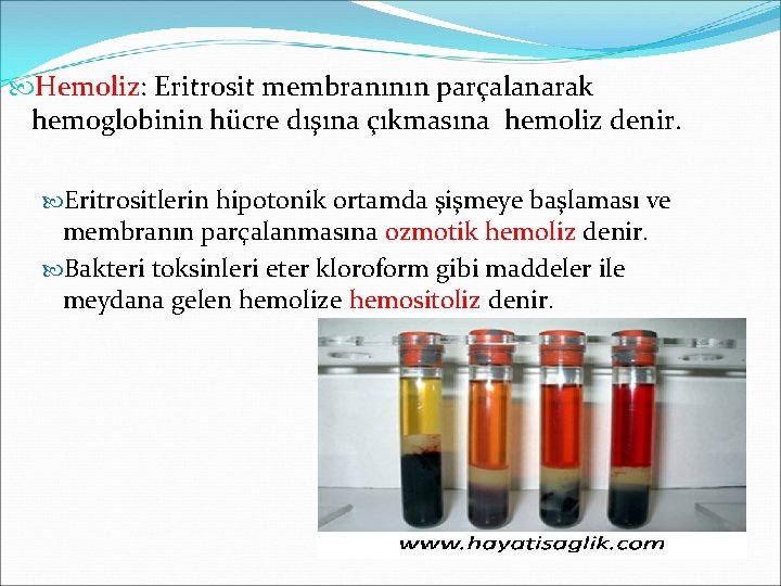  Hemoliz: Eritrosit membranının parçalanarak hemoglobinin hücre dışına çıkmasına hemoliz denir. Eritrositlerin hipotonik ortamda