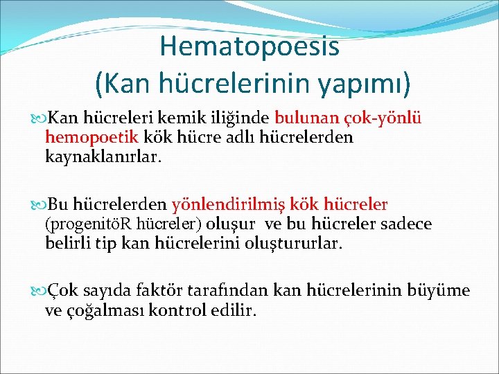 Hematopoesis (Kan hücrelerinin yapımı) Kan hücreleri kemik iliğinde bulunan çok-yönlü hemopoetik kök hücre adlı