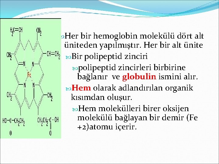  Her bir hemoglobin molekülü dört alt üniteden yapılmıştır. Her bir alt ünite Bir