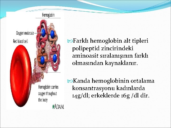  Farklı hemoglobin alt tipleri polipeptid zincirindeki aminoasit sıralanışının farklı olmasından kaynaklanır. Kanda hemoglobinin