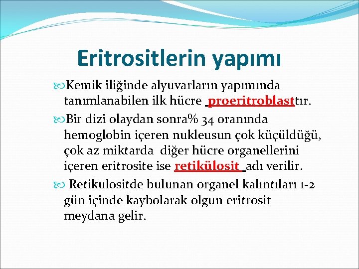 Eritrositlerin yapımı Kemik iliğinde alyuvarların yapımında tanımlanabilen ilk hücre proeritroblasttır. Bir dizi olaydan sonra%