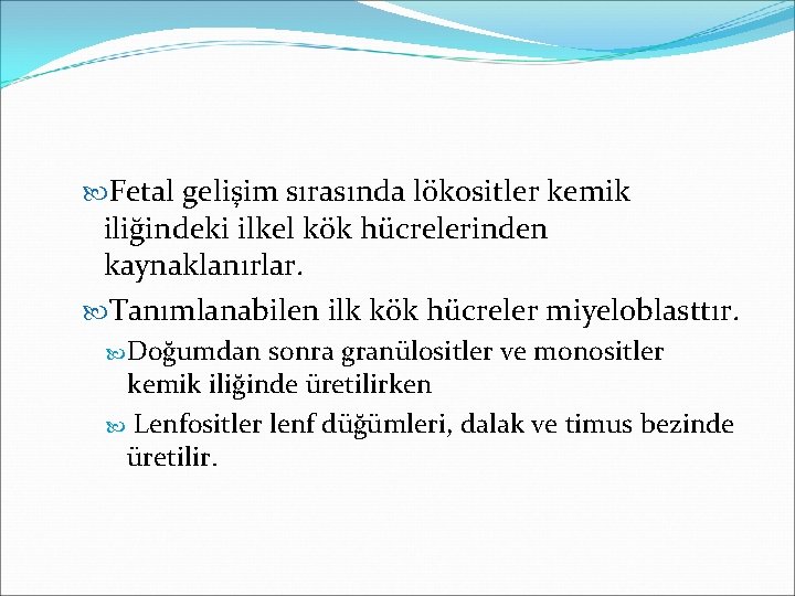  Fetal gelişim sırasında lökositler kemik iliğindeki ilkel kök hücrelerinden kaynaklanırlar. Tanımlanabilen ilk kök