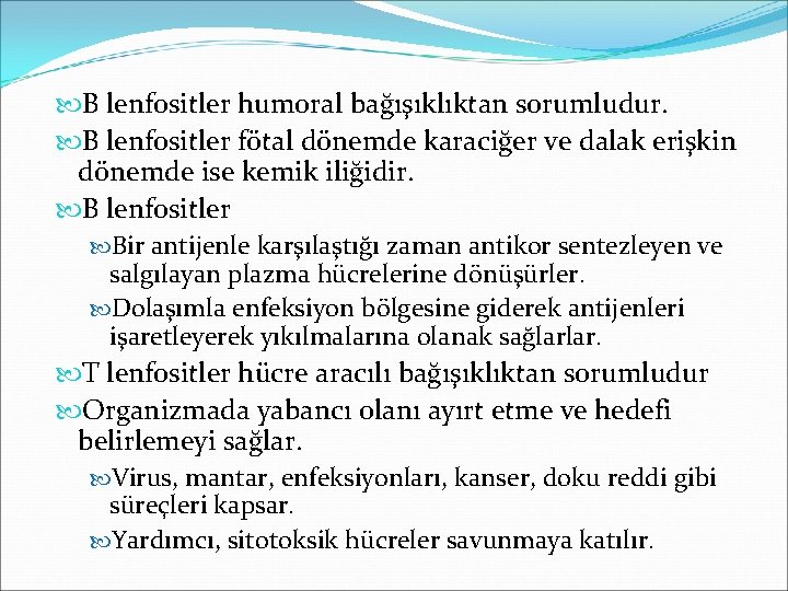  B lenfositler humoral bağışıklıktan sorumludur. B lenfositler fötal dönemde karaciğer ve dalak erişkin