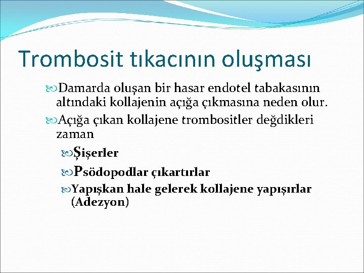 Trombosit tıkacının oluşması Damarda oluşan bir hasar endotel tabakasının altındaki kollajenin açığa çıkmasına neden