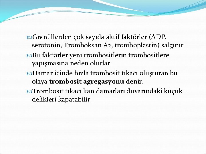  Granüllerden çok sayıda aktif faktörler (ADP, serotonin, Tromboksan A 2, tromboplastin) salgınır. Bu