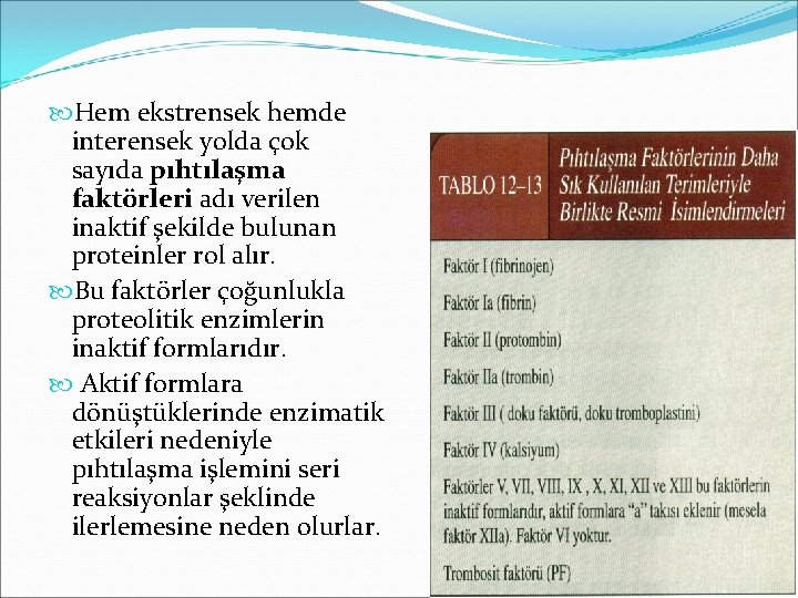  Hem ekstrensek hemde interensek yolda çok sayıda pıhtılaşma faktörleri adı verilen inaktif şekilde